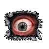 Oeil
