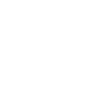 ant colony "ants and people"