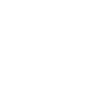 Stein