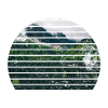 mountains forest