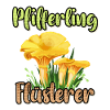 Pfifferling Flüsterer Pilzsammler Pfifferling