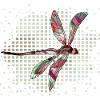 Libellule