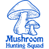 Hunting Mushrooms Nature Vegetables Food