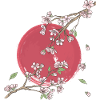 Japanese Cherry Blossom Sakura