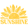 Sunshine Retro