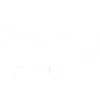 ESTP Personality