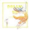 Dream On