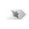Manta