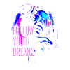Follow your dreams
