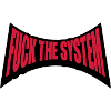Punk fuck the system