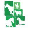 Chevaux, cavaliers, design équestre