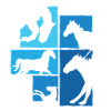 Chevaux, cavaliers, design équestre