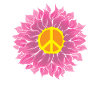 Flower Hippy