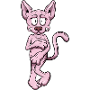 Chat Sphynx nu