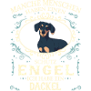 Dackel Dachshund Hund Hundehalter