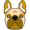 Français Bouledogue