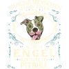 Pitbull Hund