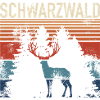Schwarzwald wander