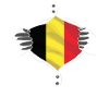 drapeau belge fier