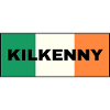 Kilkenny City in Irish Flag