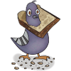 Pigeon in toast