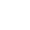 Spider lovers - big spider
