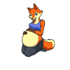 Fox with baby belly - Pregnant