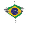 drapeau du Brésil fier