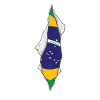 drapeau brésilien fier brésil