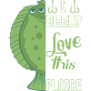 Plaice Fish