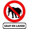 éléphant