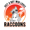 Raccoon Boy Raccoon