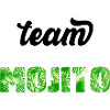 Team MOJITO