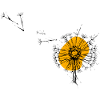 Pusteblume