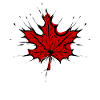 Maple Maple Leaf