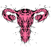 Feminism Uterus Uterus
