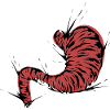 Stomach