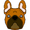 Français Bouledogue