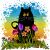 Katze