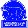 Labradoodle Instructor