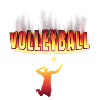 Volleyball design
