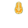 Jackfruit