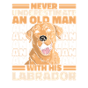 Labrador Dog