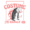 Opossum Possum Animal