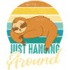 Sloth Sloths Sleep Lazy