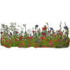 Bunte Blumenwiese