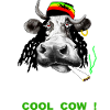 CANNABIS