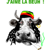 CANNABIS