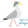 Seagull Stohhut
