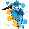 Eisvogel